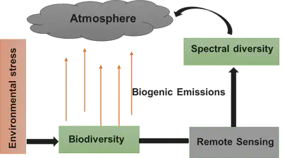 Schematic representation of the primary research goals, which aim to establish a correlation between spectral diversity and biogenic emission in order to investigate the impact of environmental stress on biodiversity.