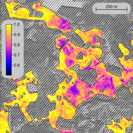 Remote Sensing in Geo- and Ecosystem Research
