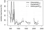 Advantages of Retrieving Pigment Content [Mg/Cm2] versus Concentration [%] from Canopy Reflectance