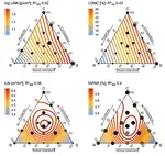Radiative Transfer Modelling Reveals Why Canopy Reflectance Follows Function