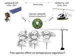 Detecting Tree Species Effects on Forest Canopy Temperatures with Thermal Remote Sensing: The Role of Spatial Resolution
